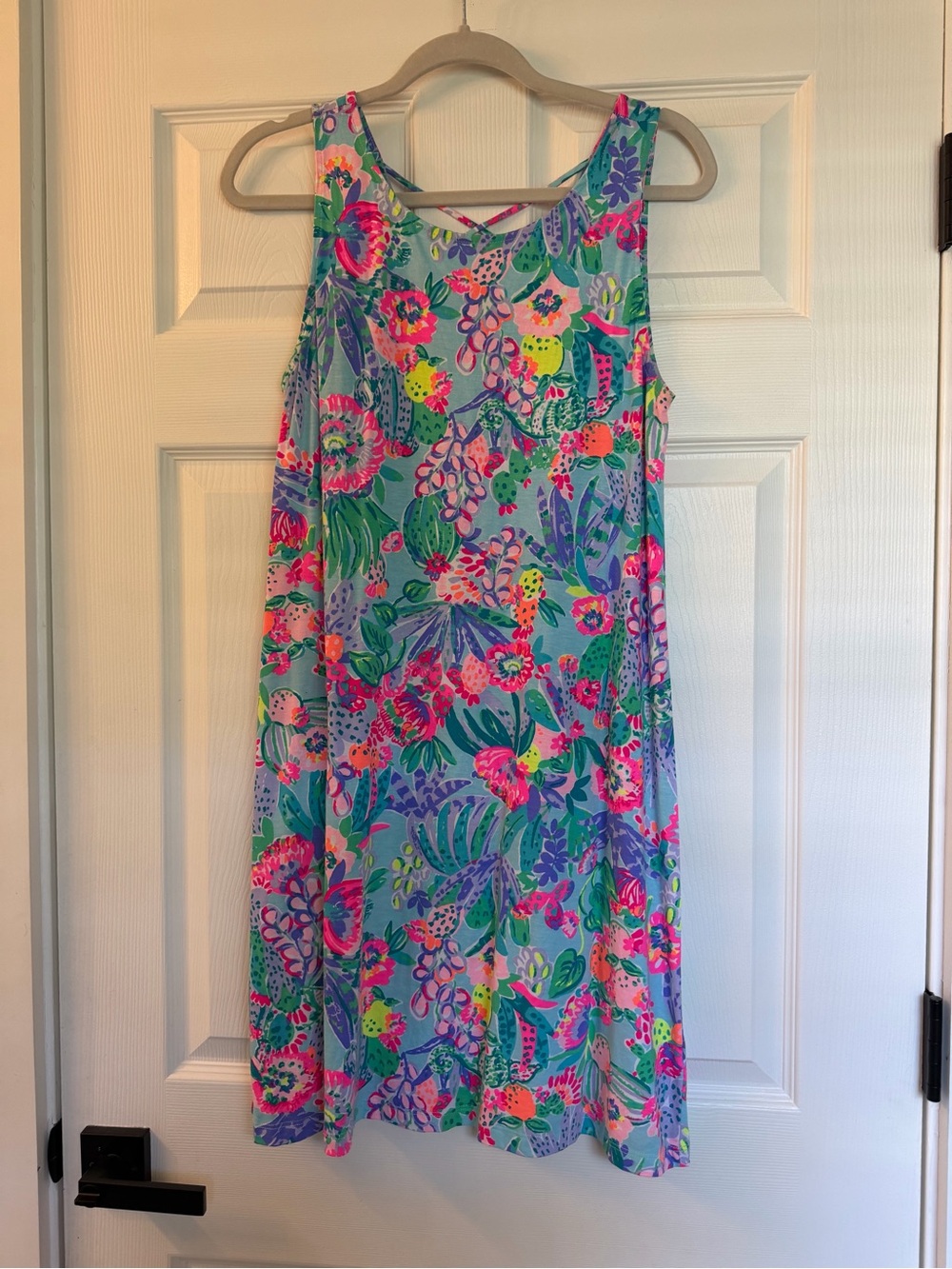 Lilly Pulitzer Kristen Dress.